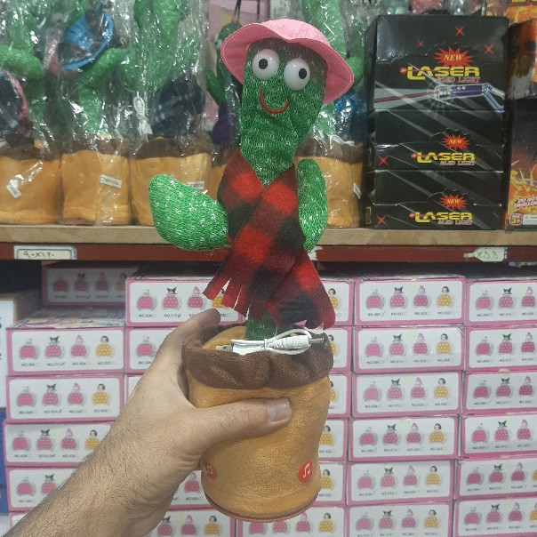 کاکتوس سخنگو بازار صالح اباد