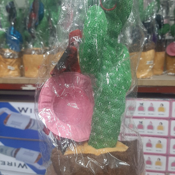 کاکتوس سخنگو صالح اباد