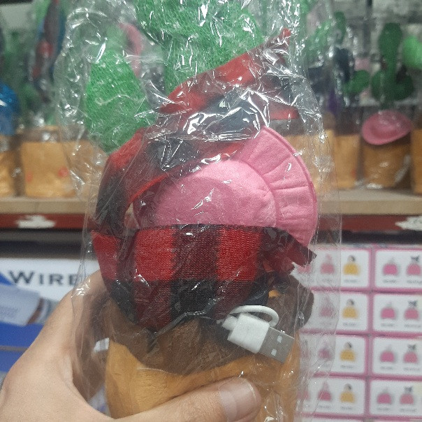 کاکتوس سخنگو عمده بازار صالح اباد