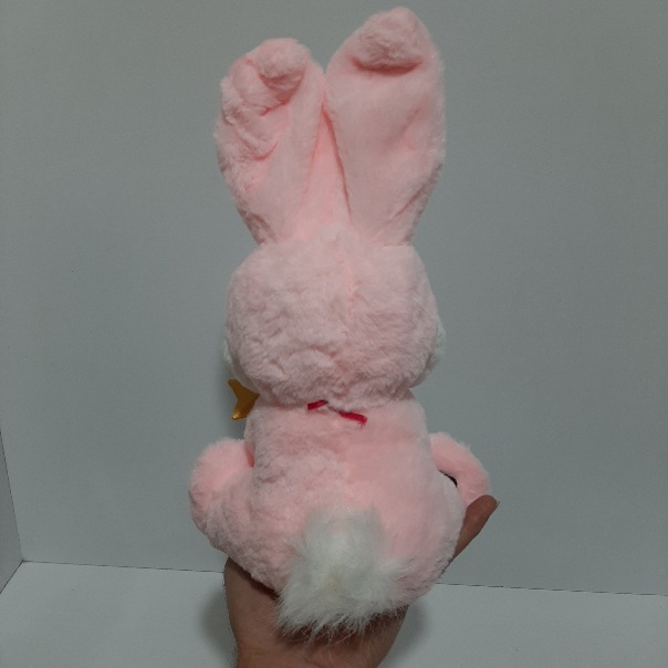 خرگوش پولیشی موزیکال ایتم 316 | صالح اباد سنتر