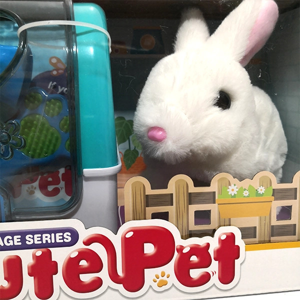 خرگوش با باکس