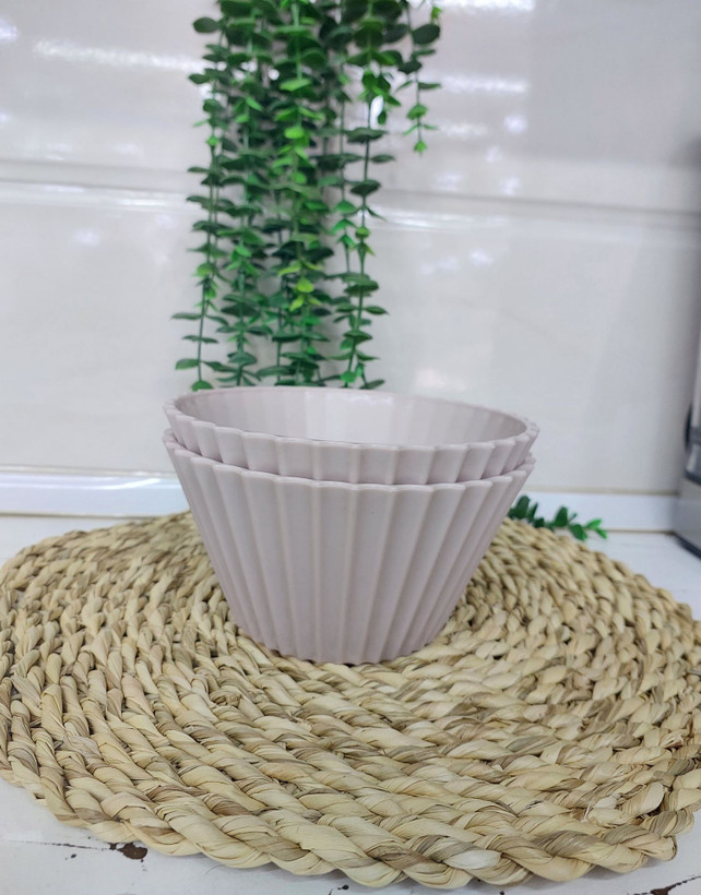 کاسه پلاستیکی نشکن 2 عددی مدل باگر سایز متوسط